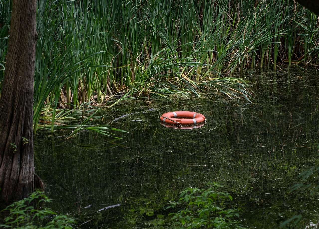 lifebelt  lake  pond free photo