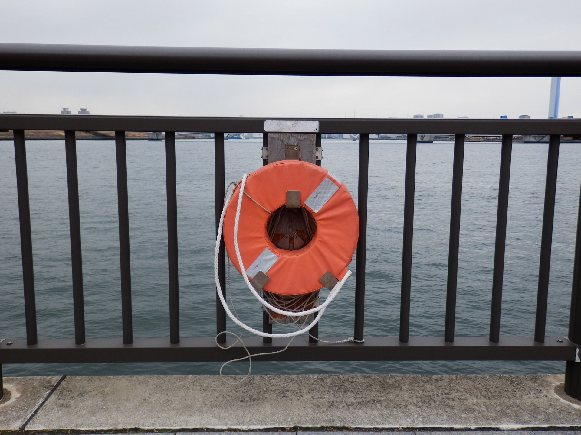 lifebuoy ring buoy lifering free photo