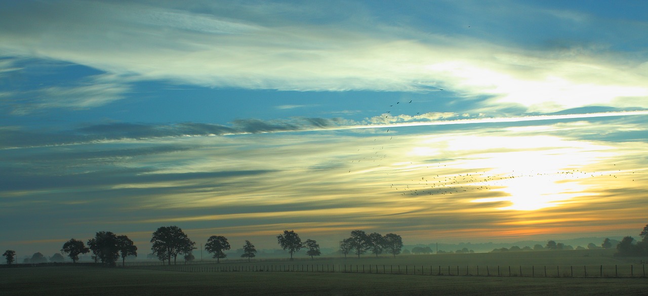 landscape sunrise trees free photo