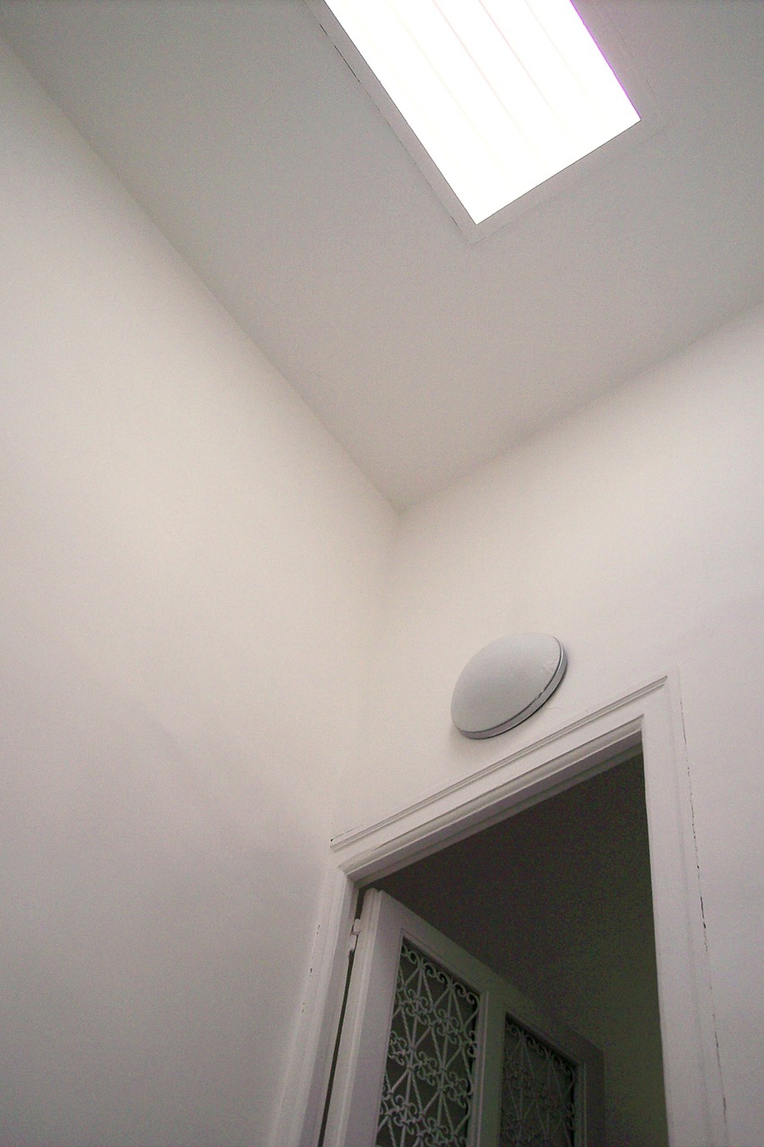 light skylight door free photo