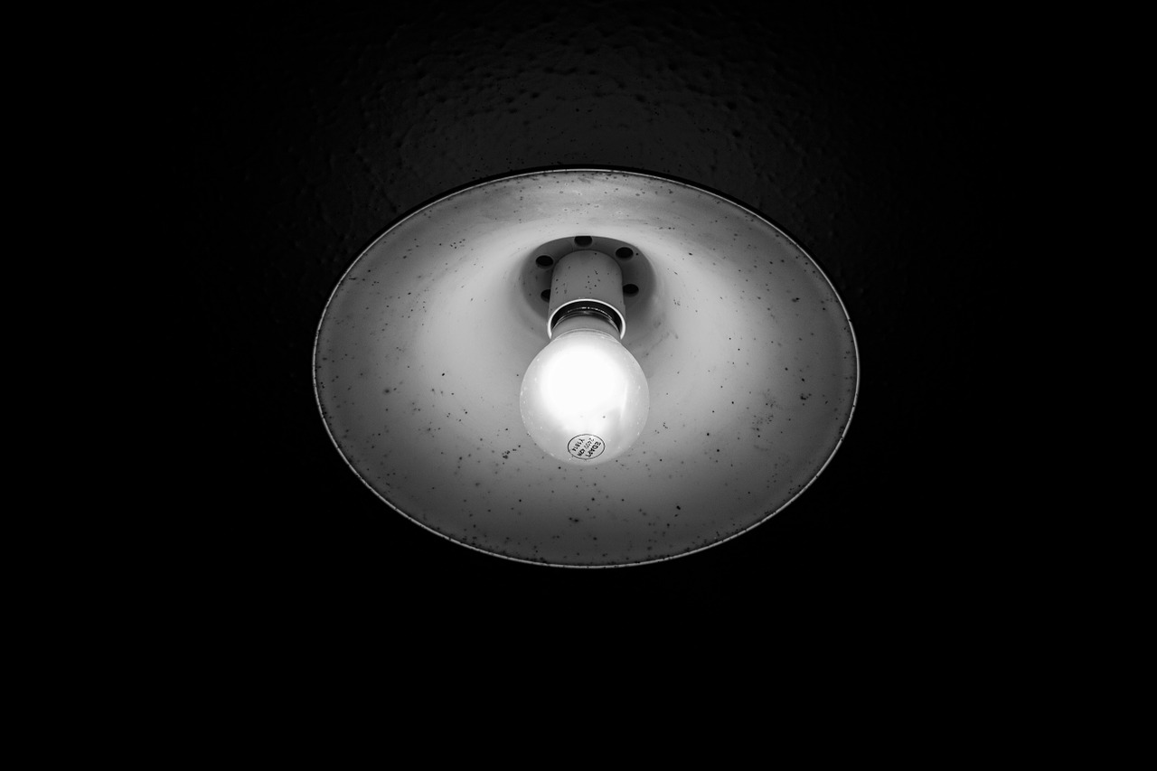 light black and white light bulb free photo