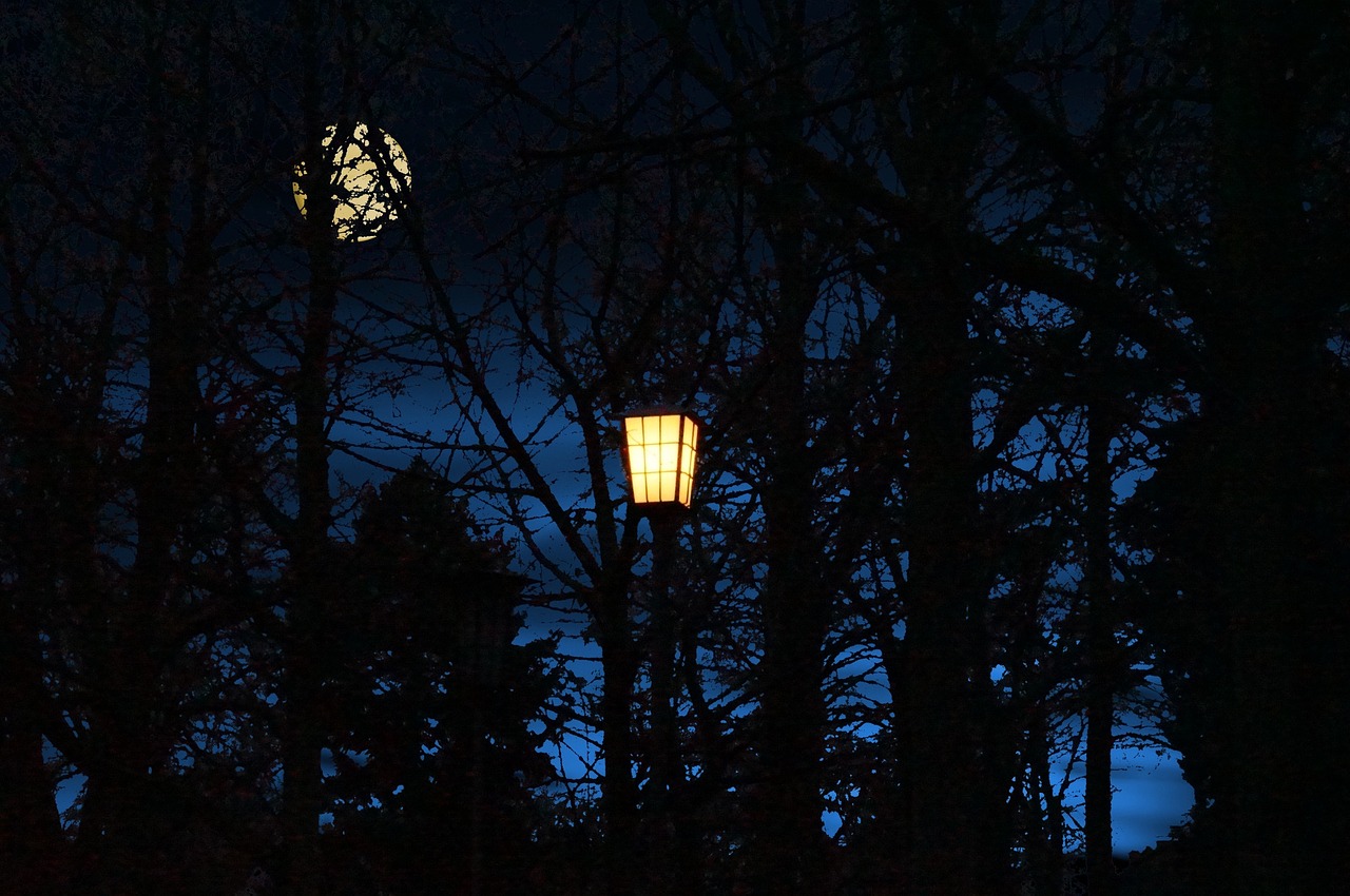 light night lantern free photo