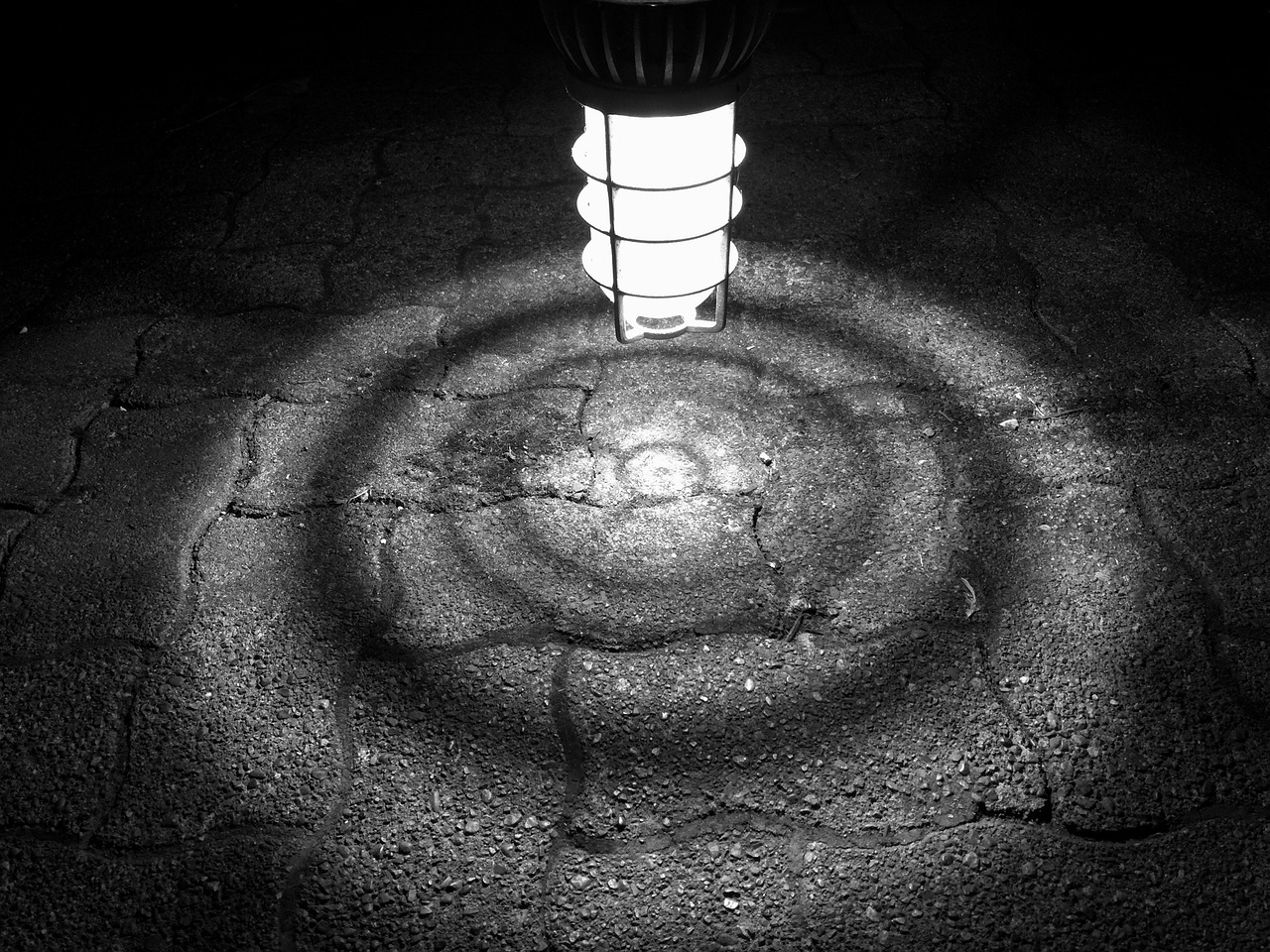 light circle lightbulb free photo
