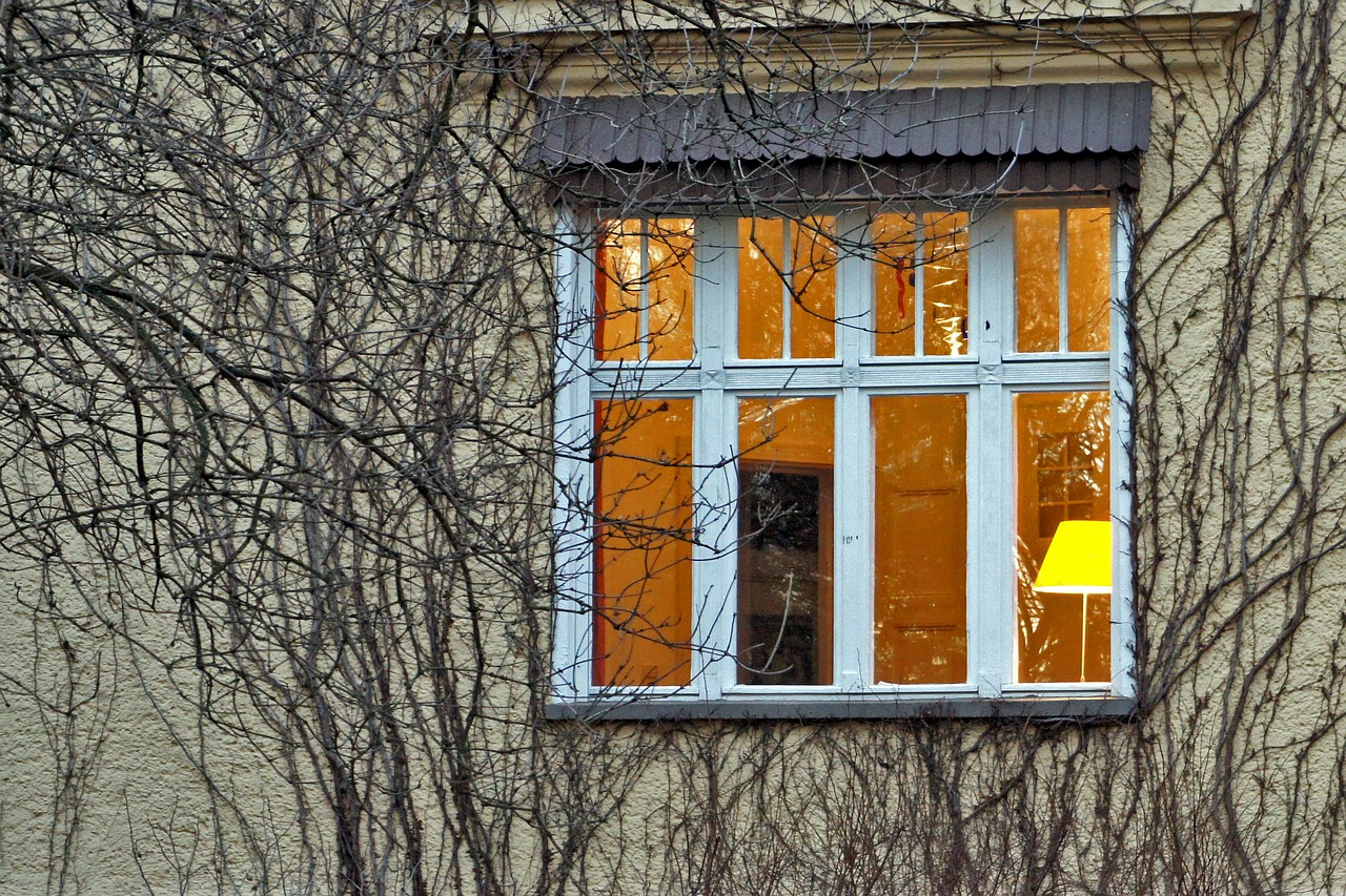 light window building free photo