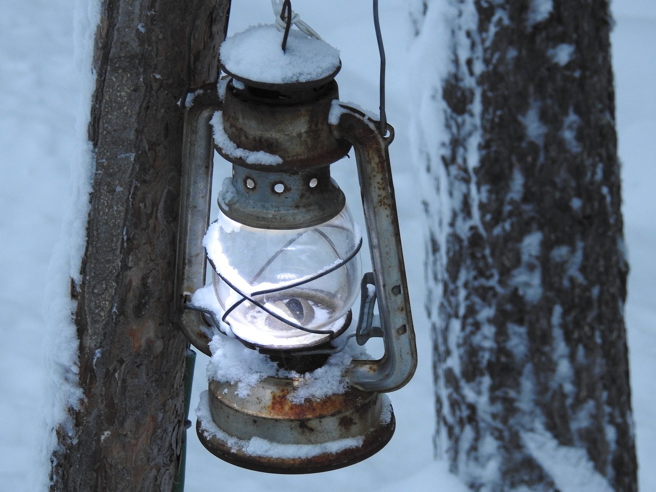 light lamp lantern free photo