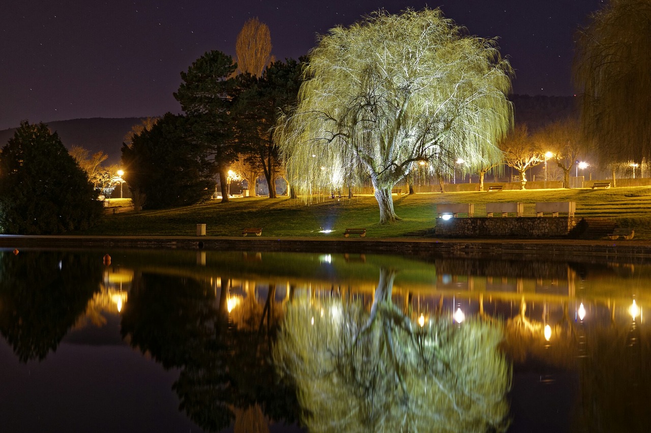 light night lake free photo