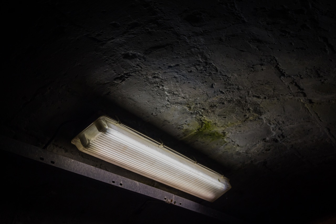 light tunnel fluorescent lamp free photo