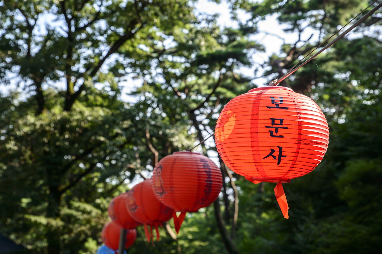 light bomunsa temple free photo