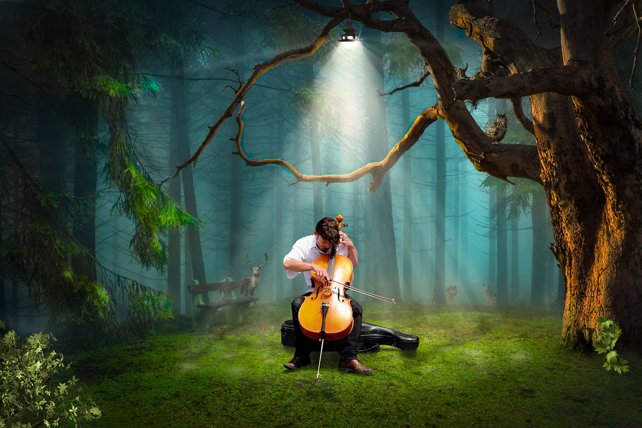 light cello music free photo