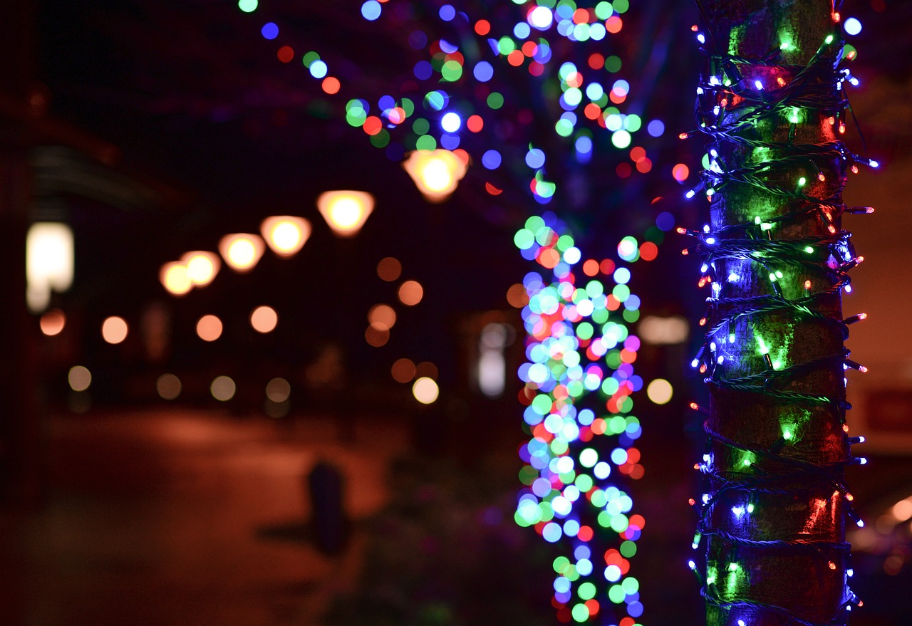 light bokeh colors free photo