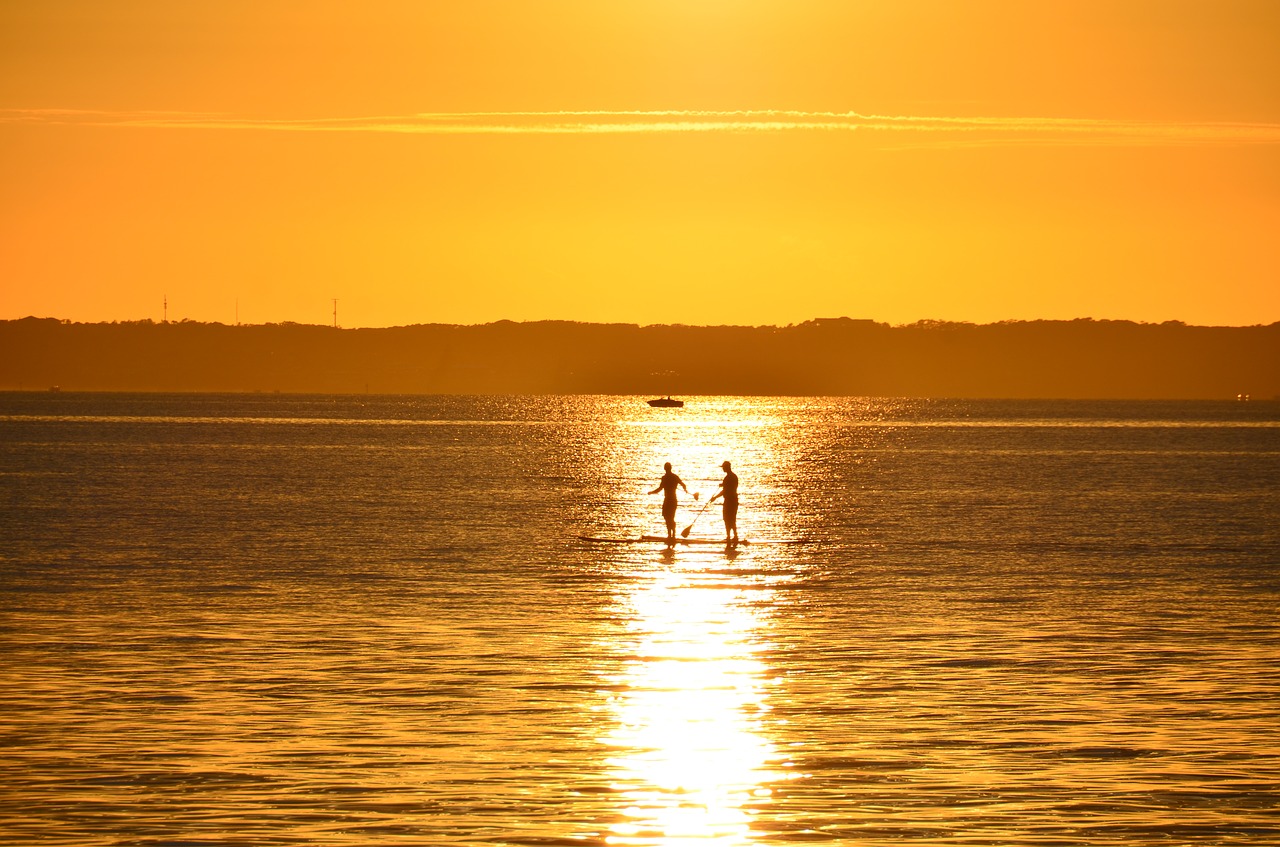 light  sun beach  beach free photo