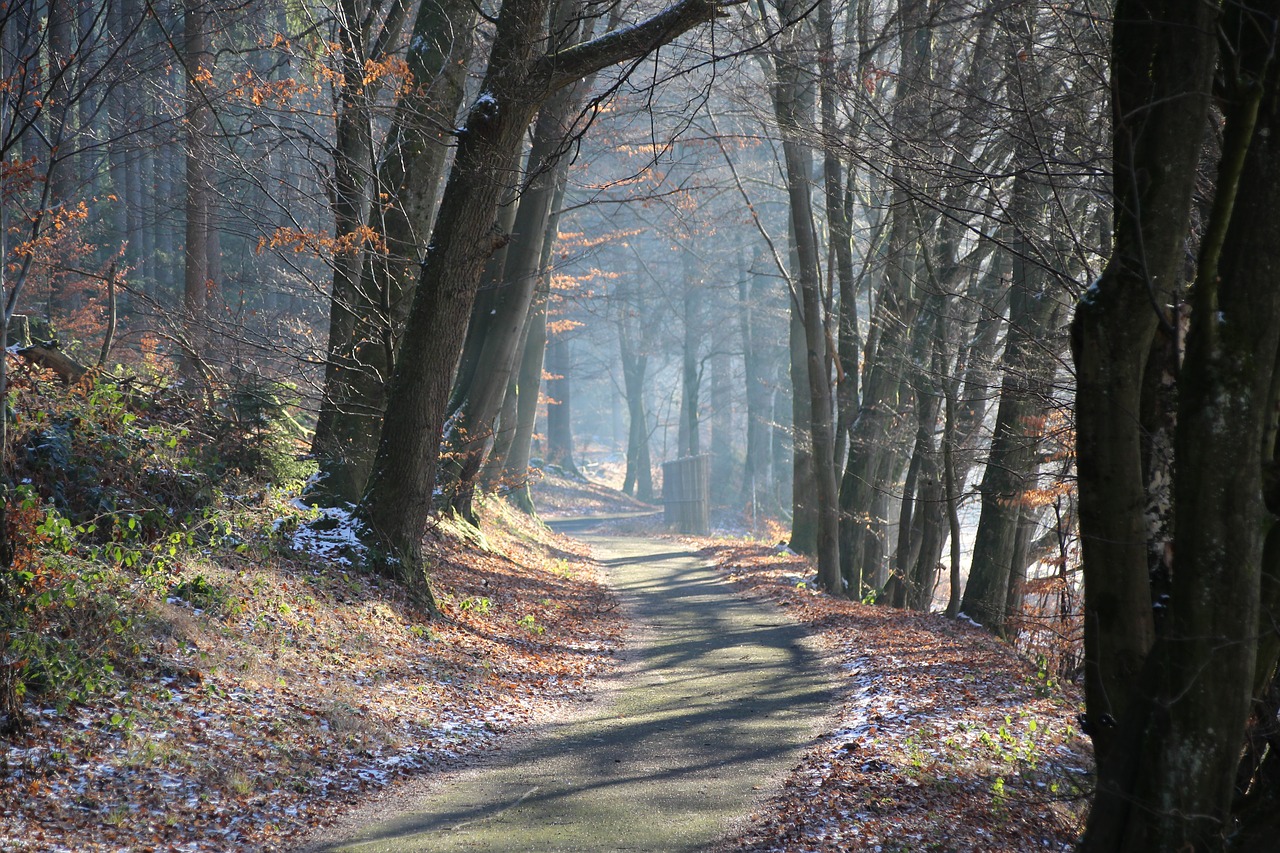 light  winter  sunrise free photo