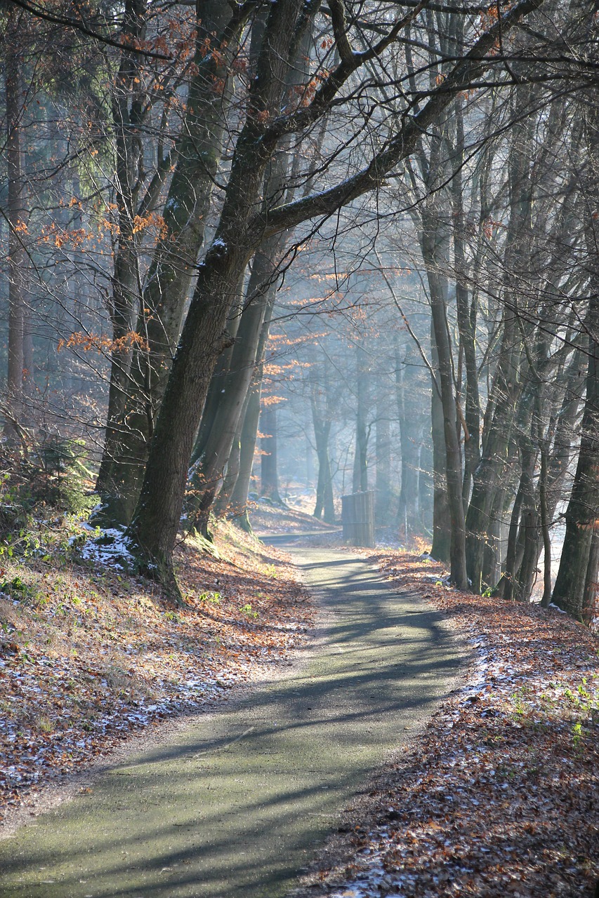 light  winter  sunrise free photo