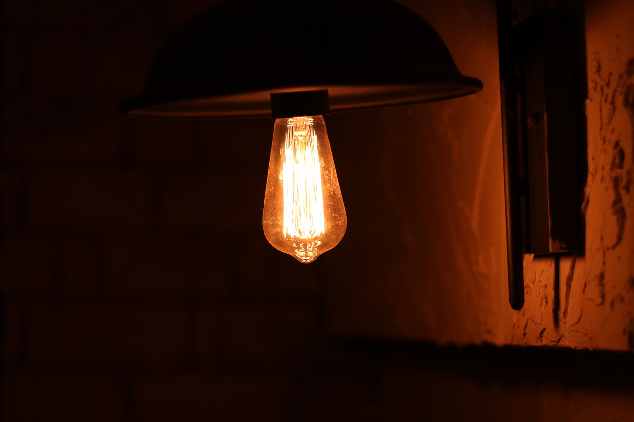 light  bulb  lamp free photo