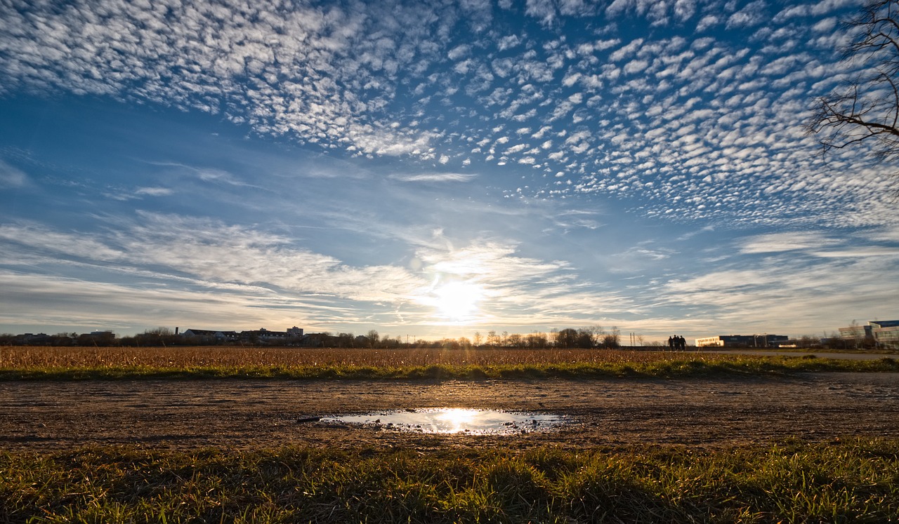 light  sun  mirroring free photo