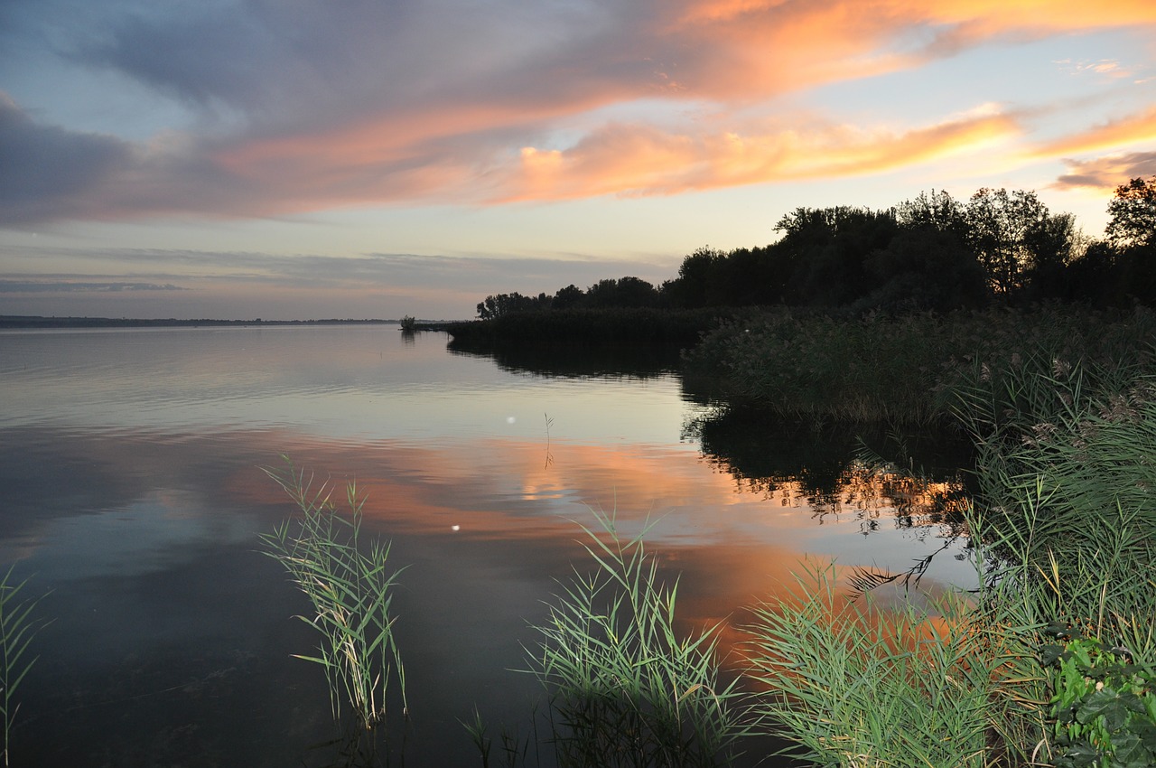 light lake balaton autumn free photo