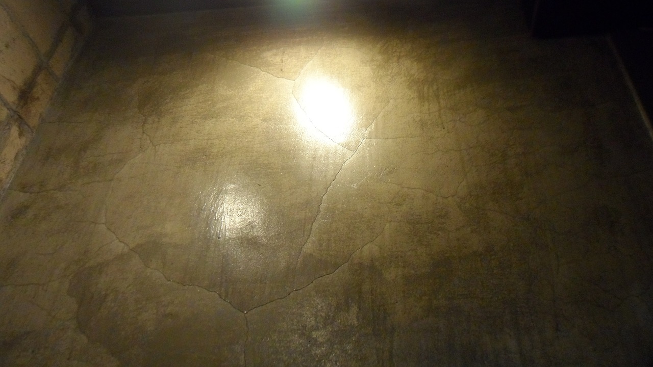 light wall cloven free photo