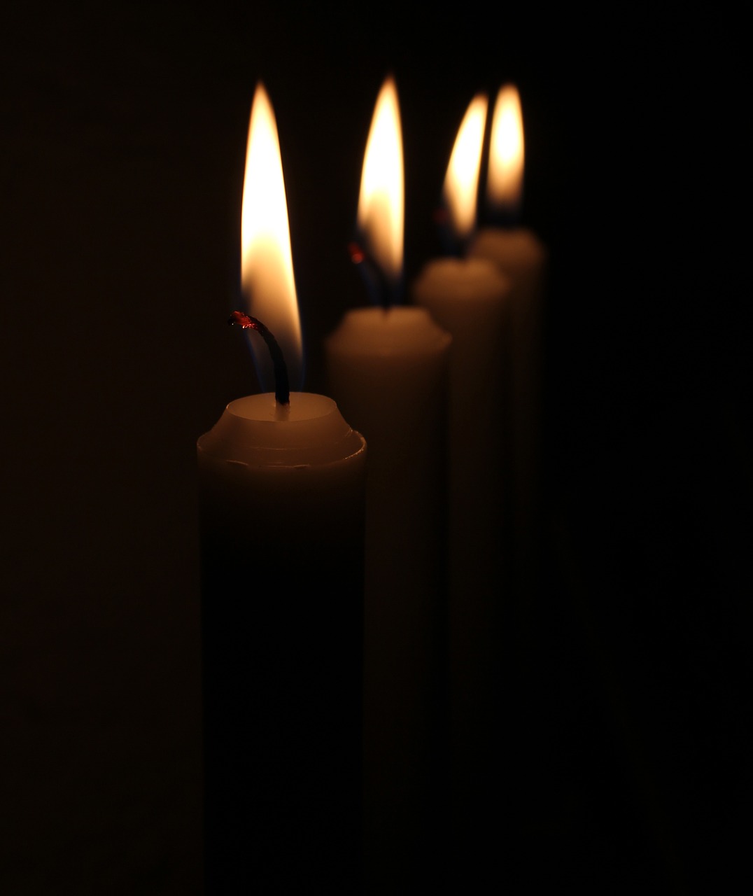 light christmas candles free photo