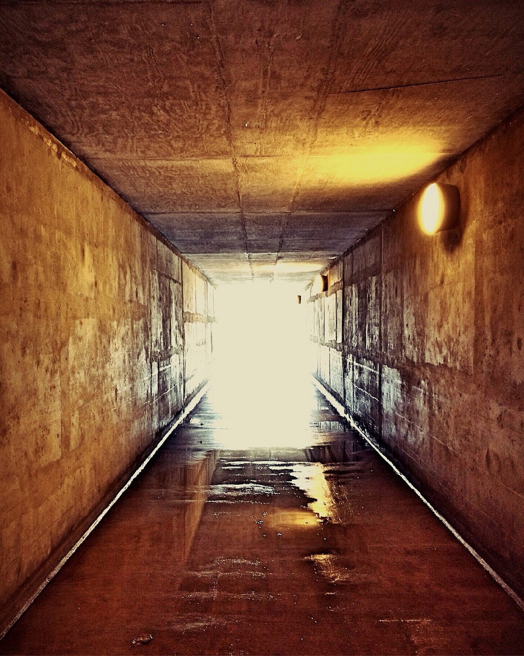 light tunnel entrance free photo