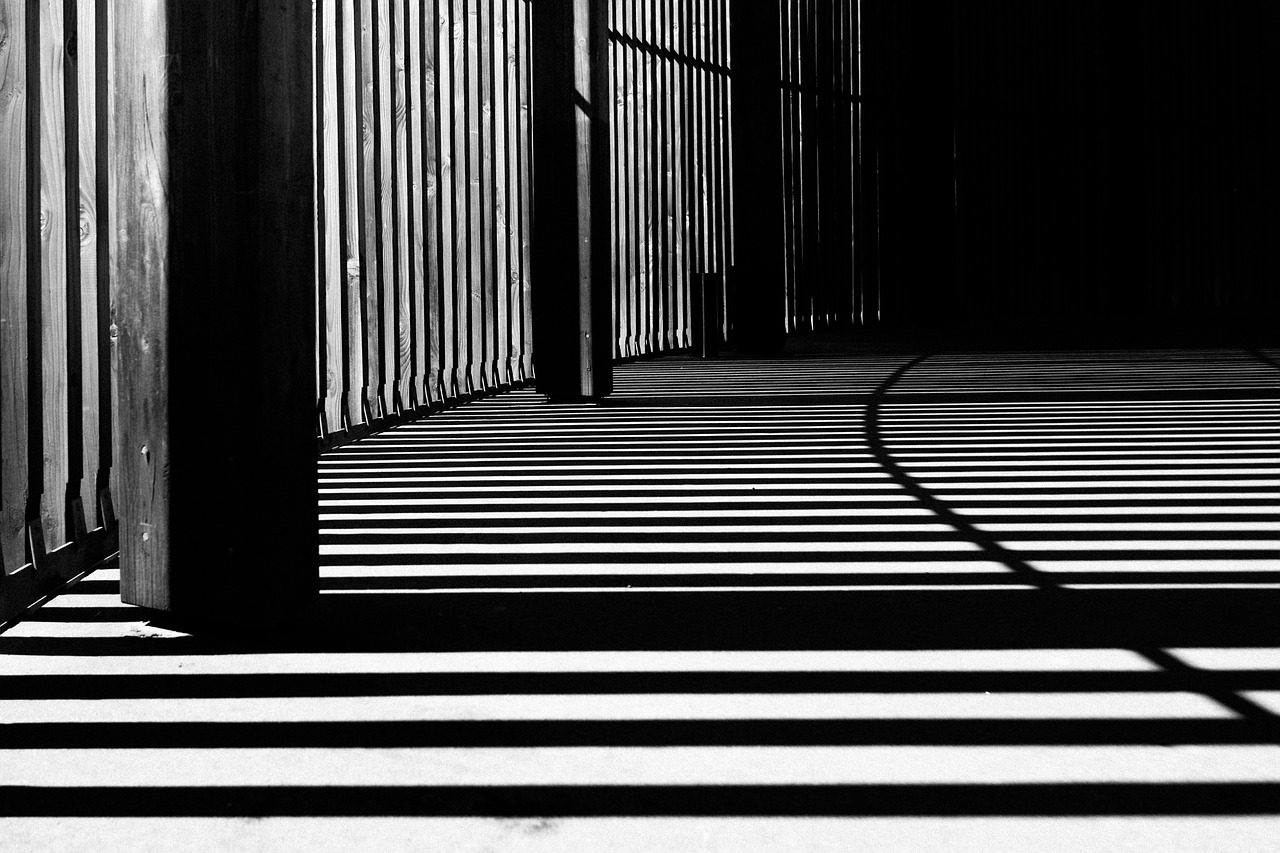 light shadows pattern free photo