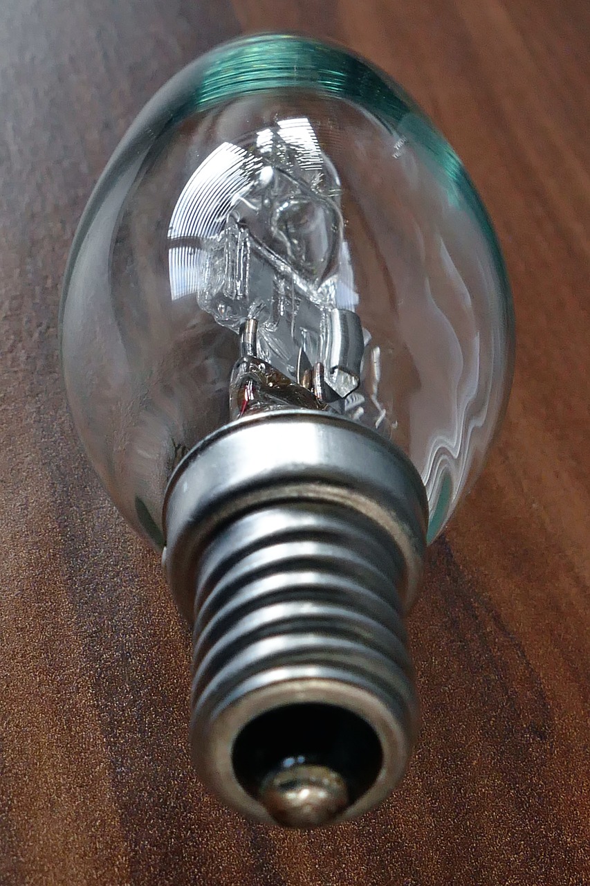 light bulb electric bulb free photo