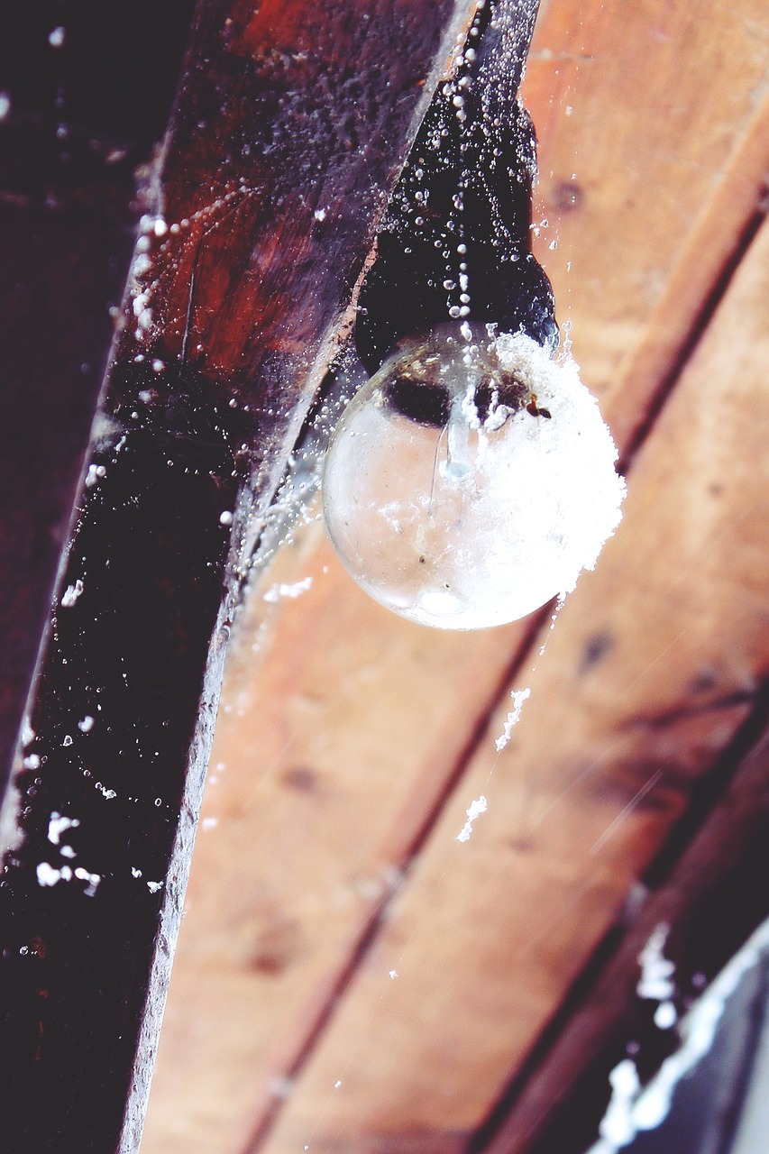 light bulb hut log cabin free photo