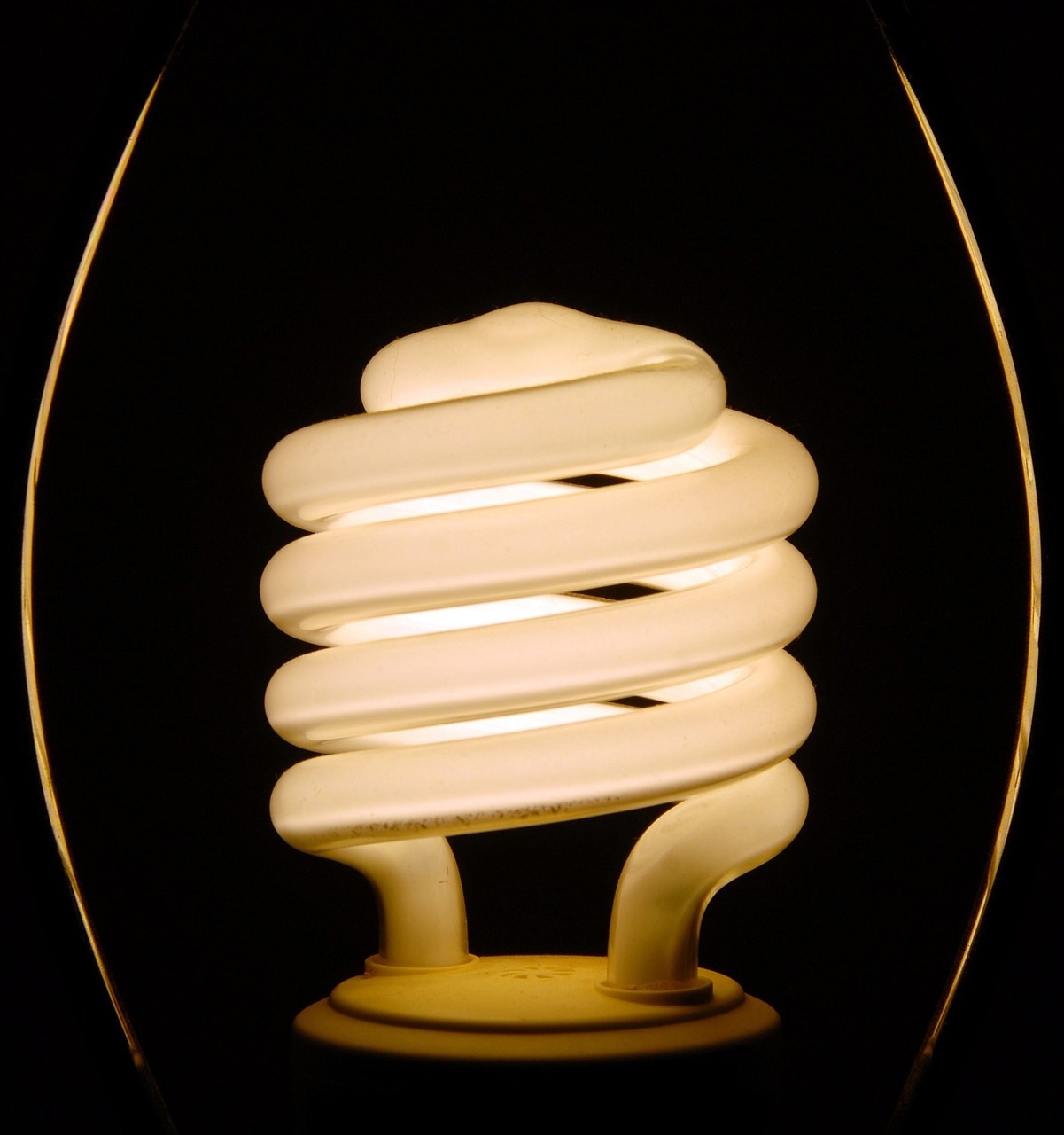 light bulb compact fluorescent free photo