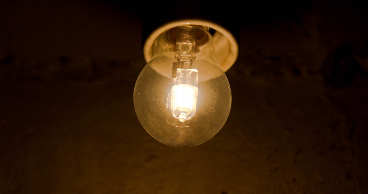 light bulb light dark free photo