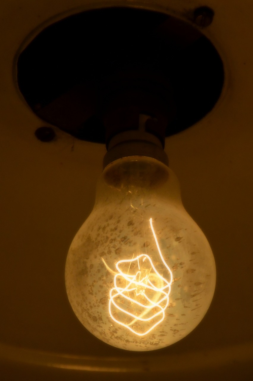 light bulb edison lamp free photo
