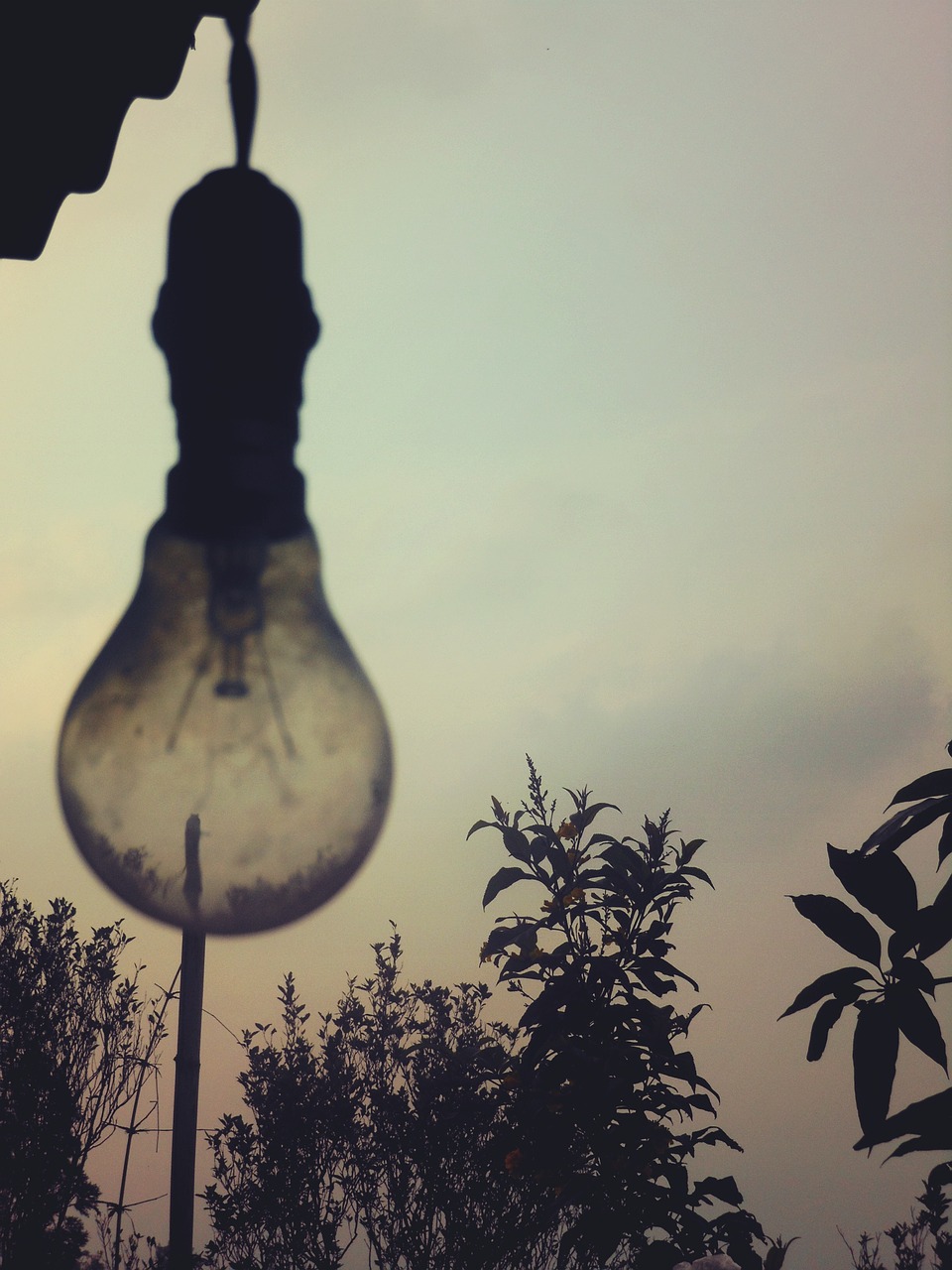 light bulb sky trees free photo