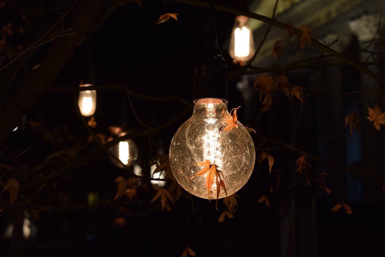 light bulb autumn leaves free photo