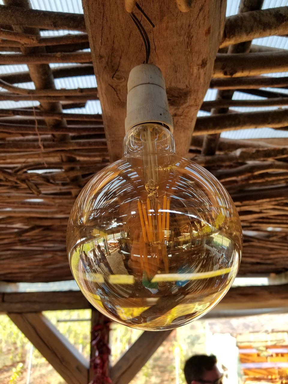 light bulb  colors  wood free photo