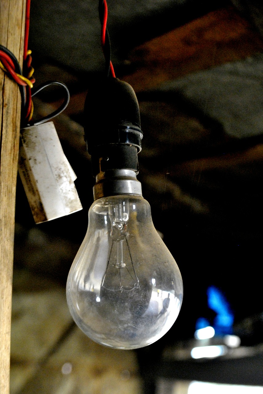 light bulb electric light bulb free photo
