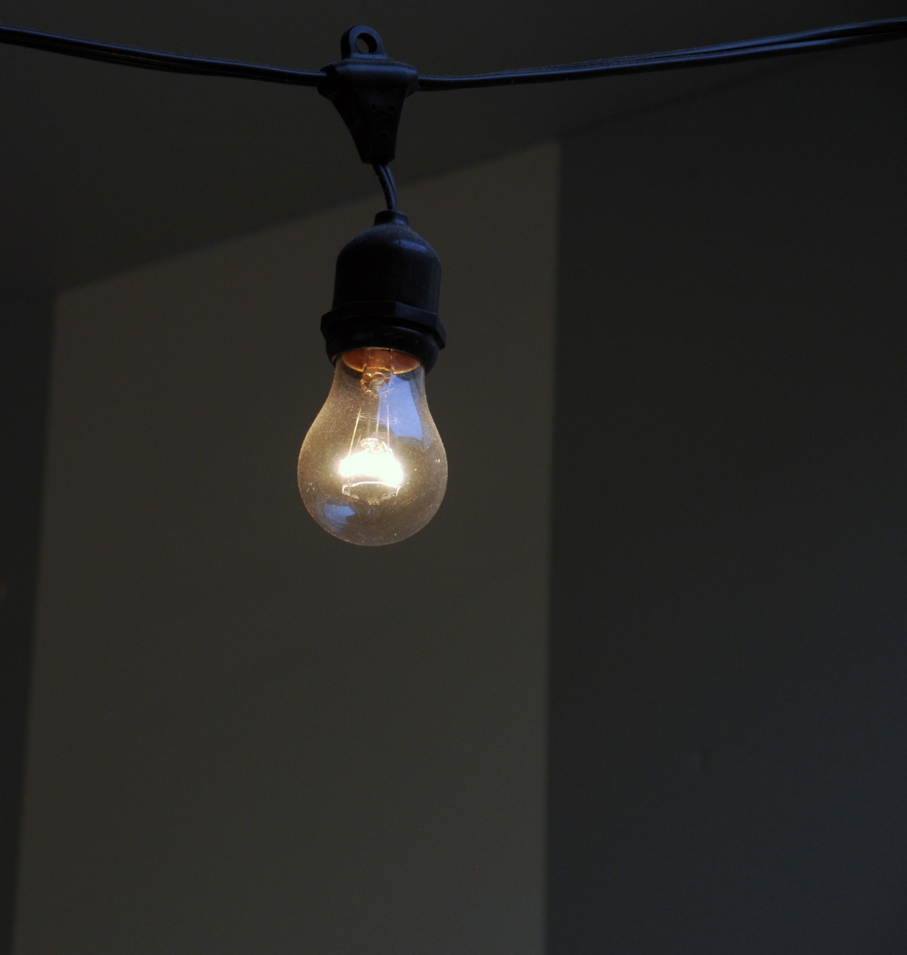 light bulb hanging free photo