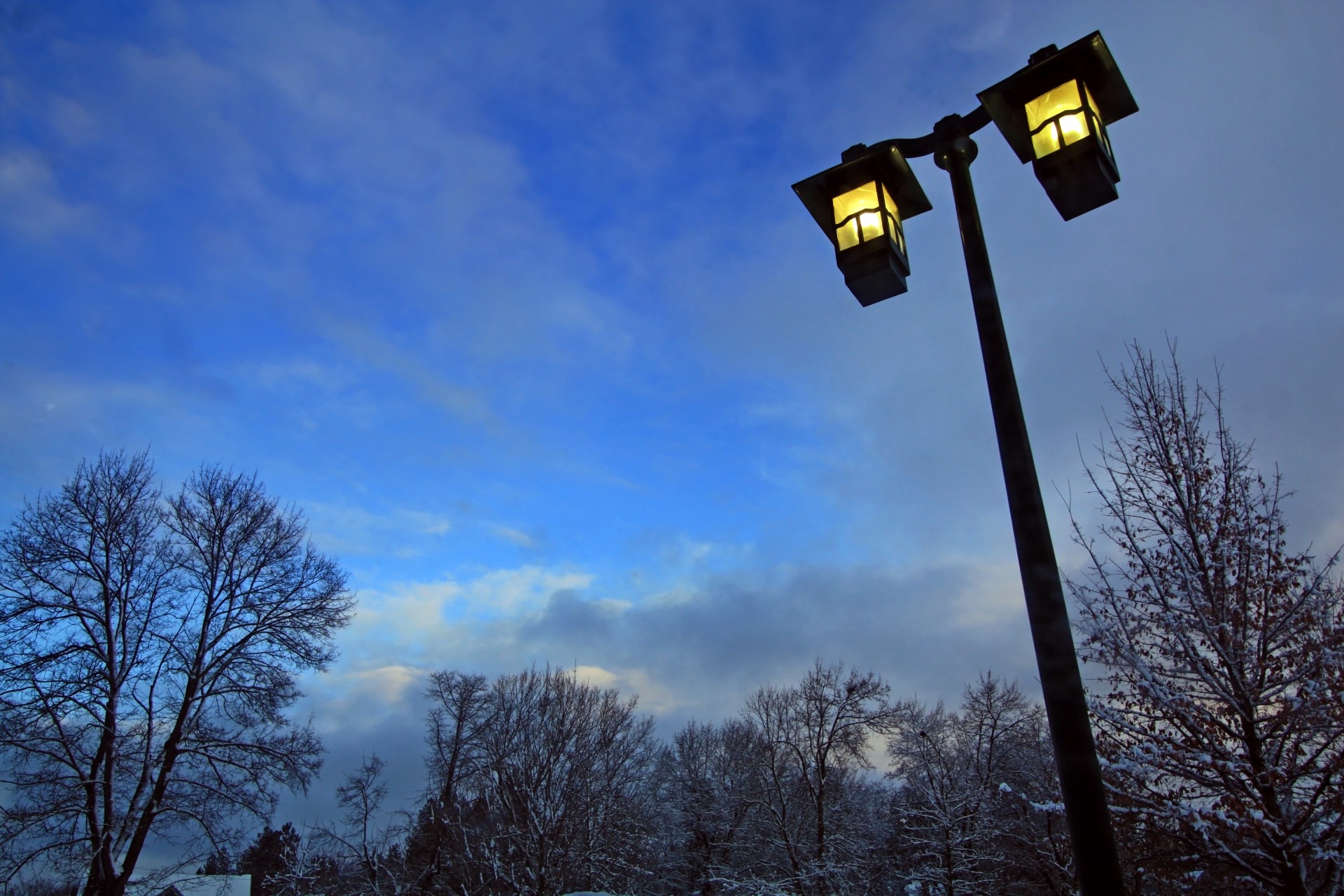 illuminated light on lit up free photo