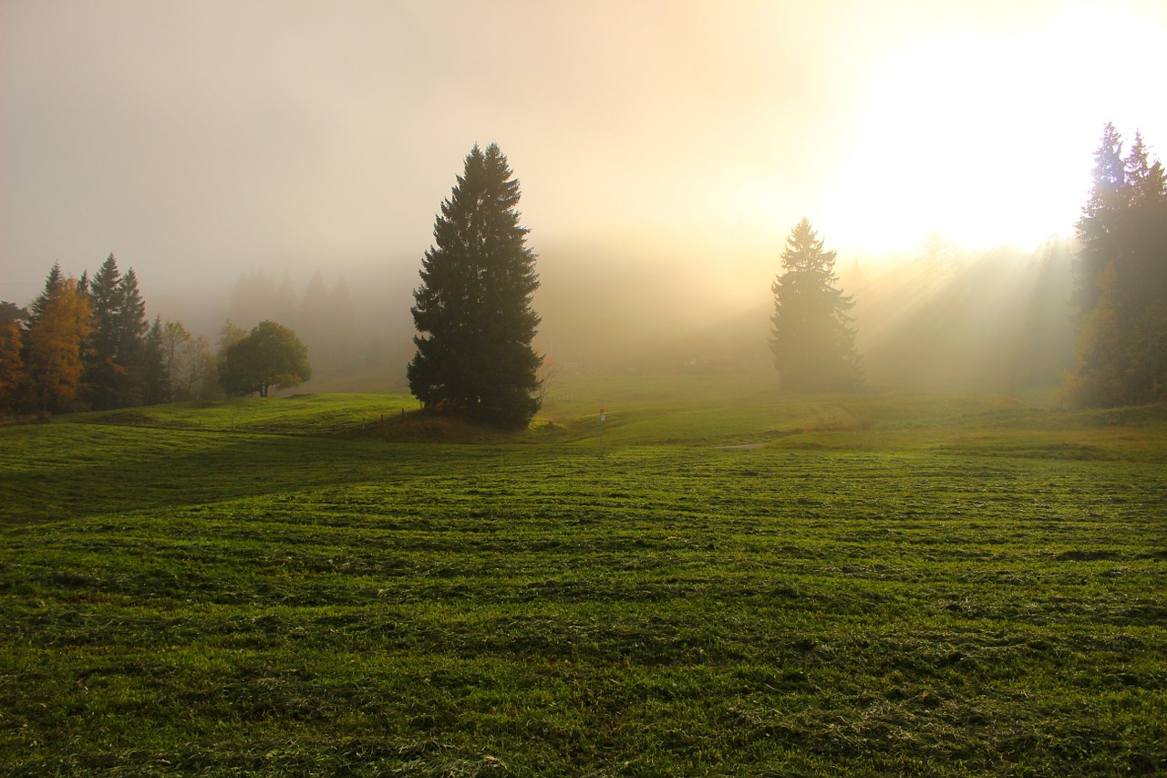 light through clouds light sunlight free photo