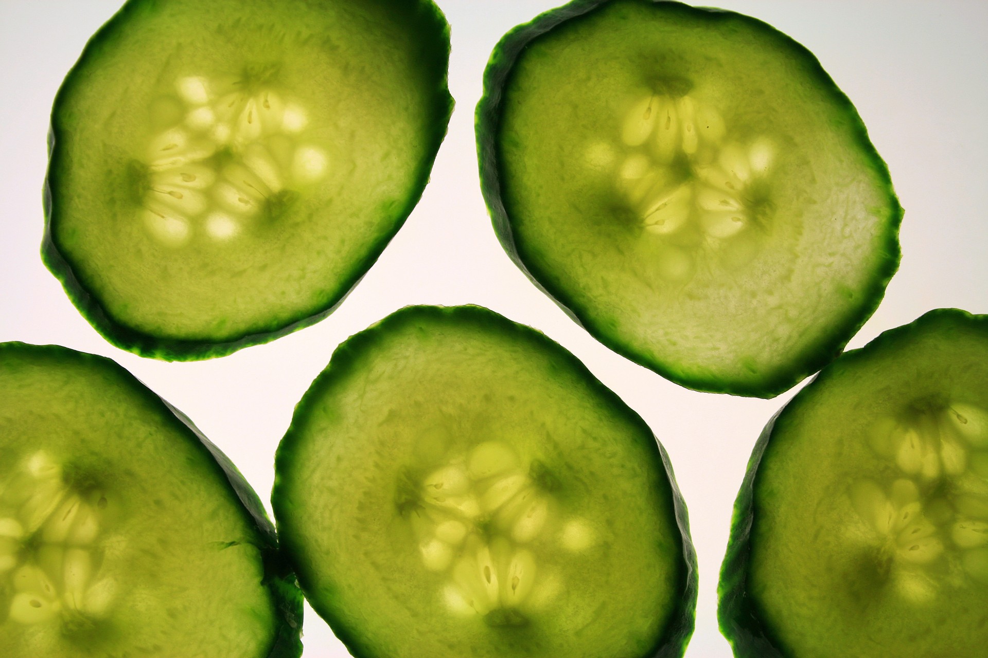 slices cucumber green free photo