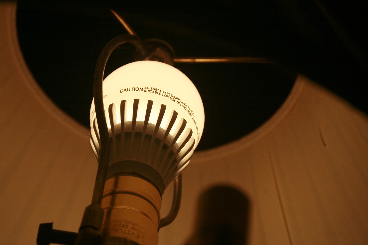 lightbulb light lamp free photo