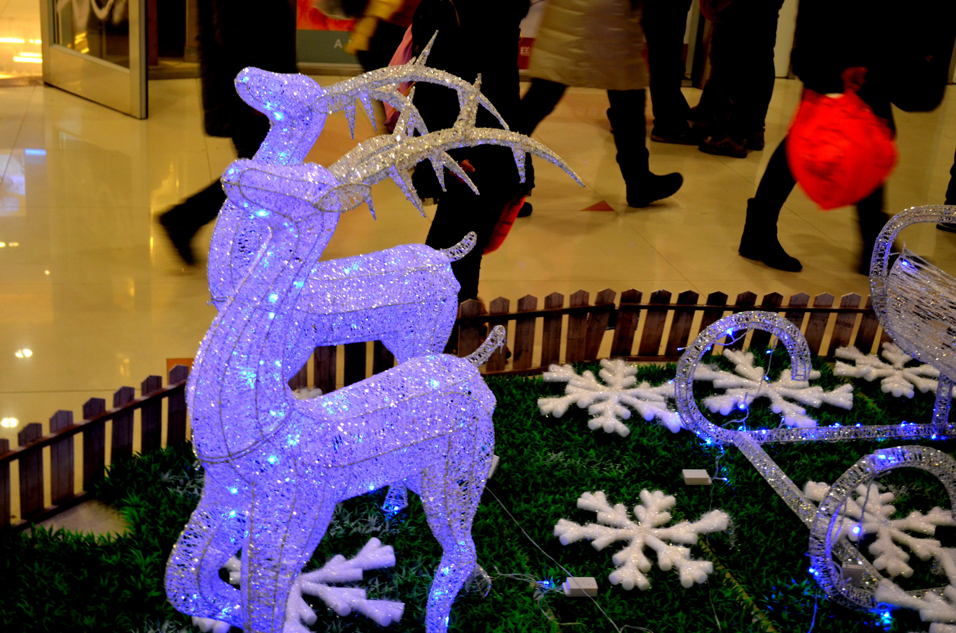 christmas display reindeer free photo