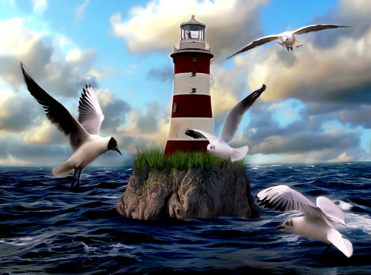 lighthouse seagull bird free photo