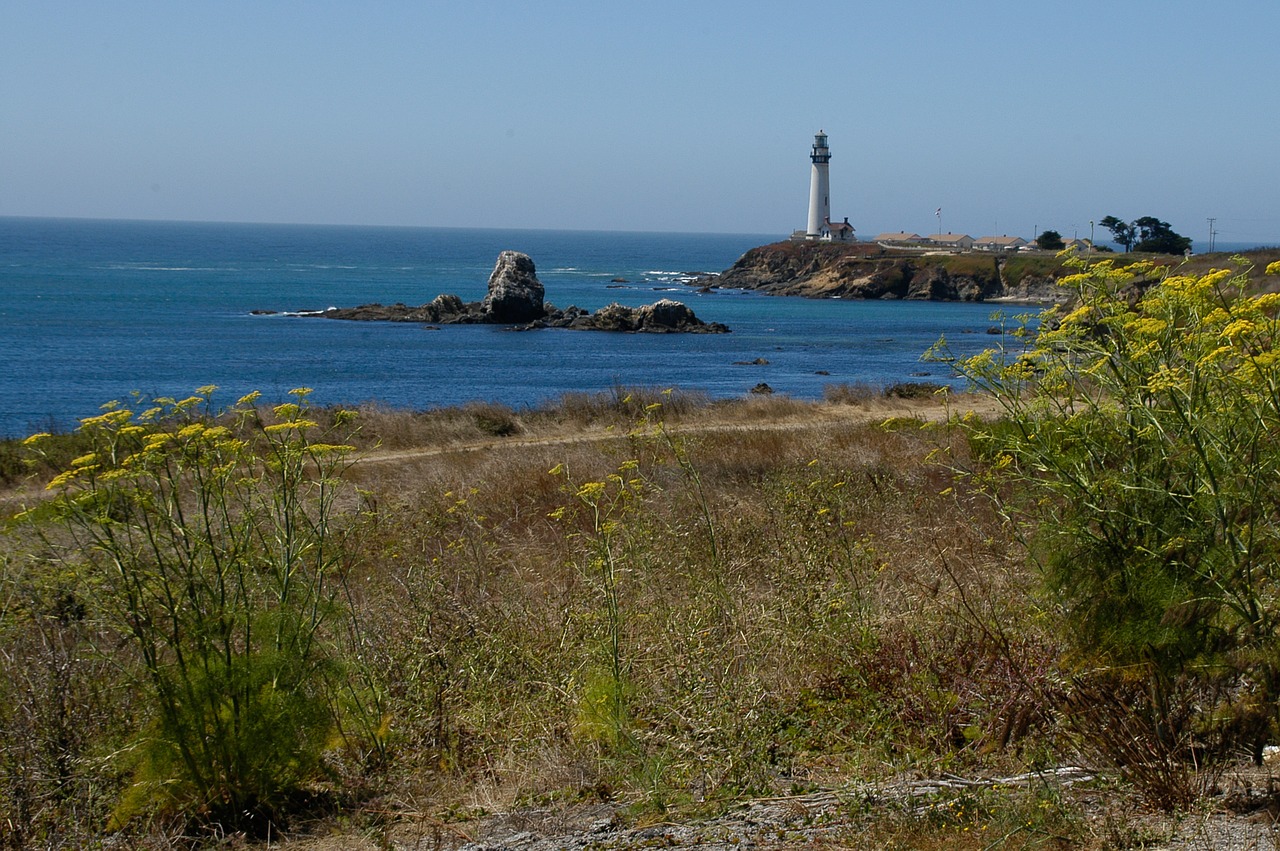 lighthouse america pacific free photo