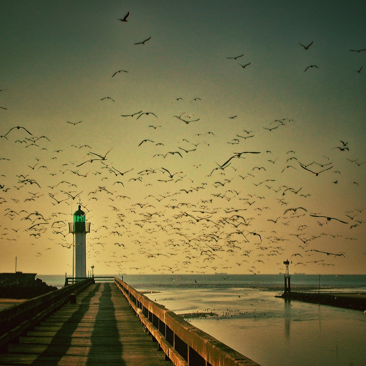 lighthouse gulls sky free photo
