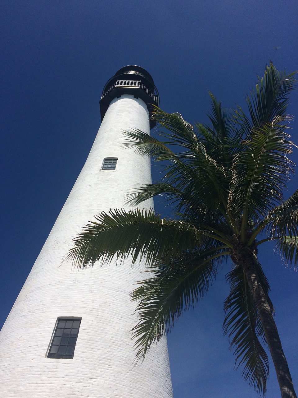 lighthouse palm sky free photo