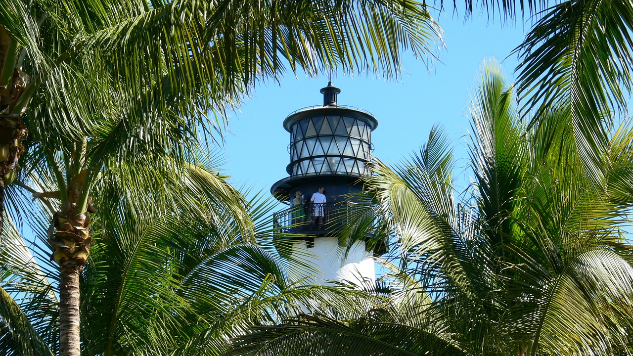 lighthouse usa palm trees free photo