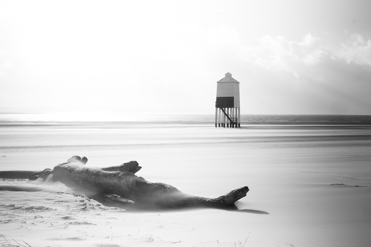 lighthouse beach black and white free photo