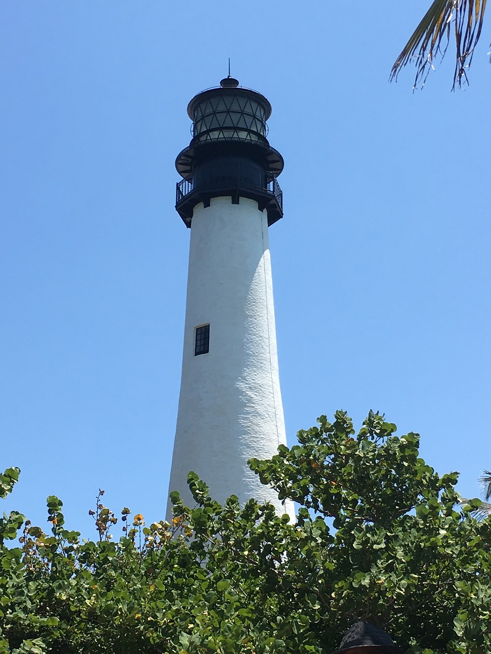 lighthouse florida sea free photo