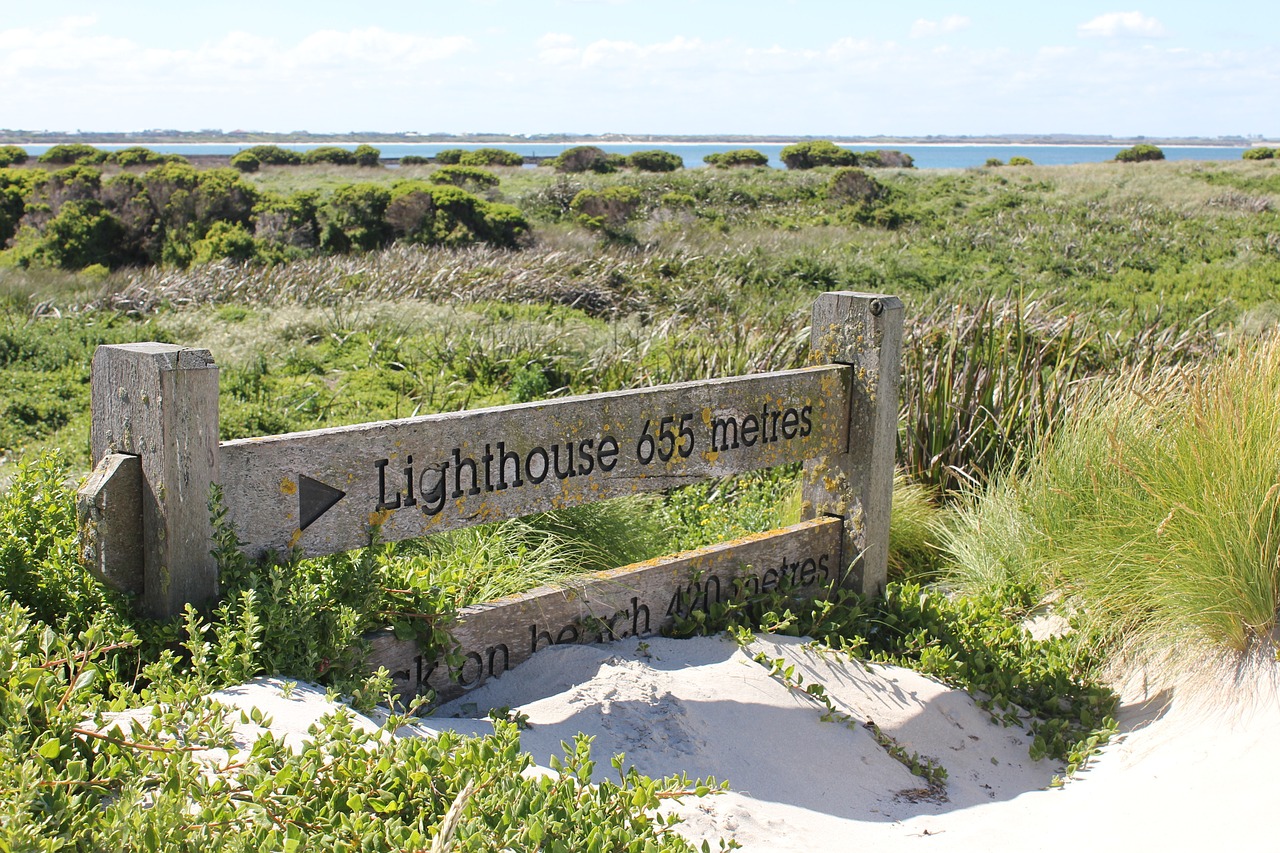 lighthouse sign beach free photo