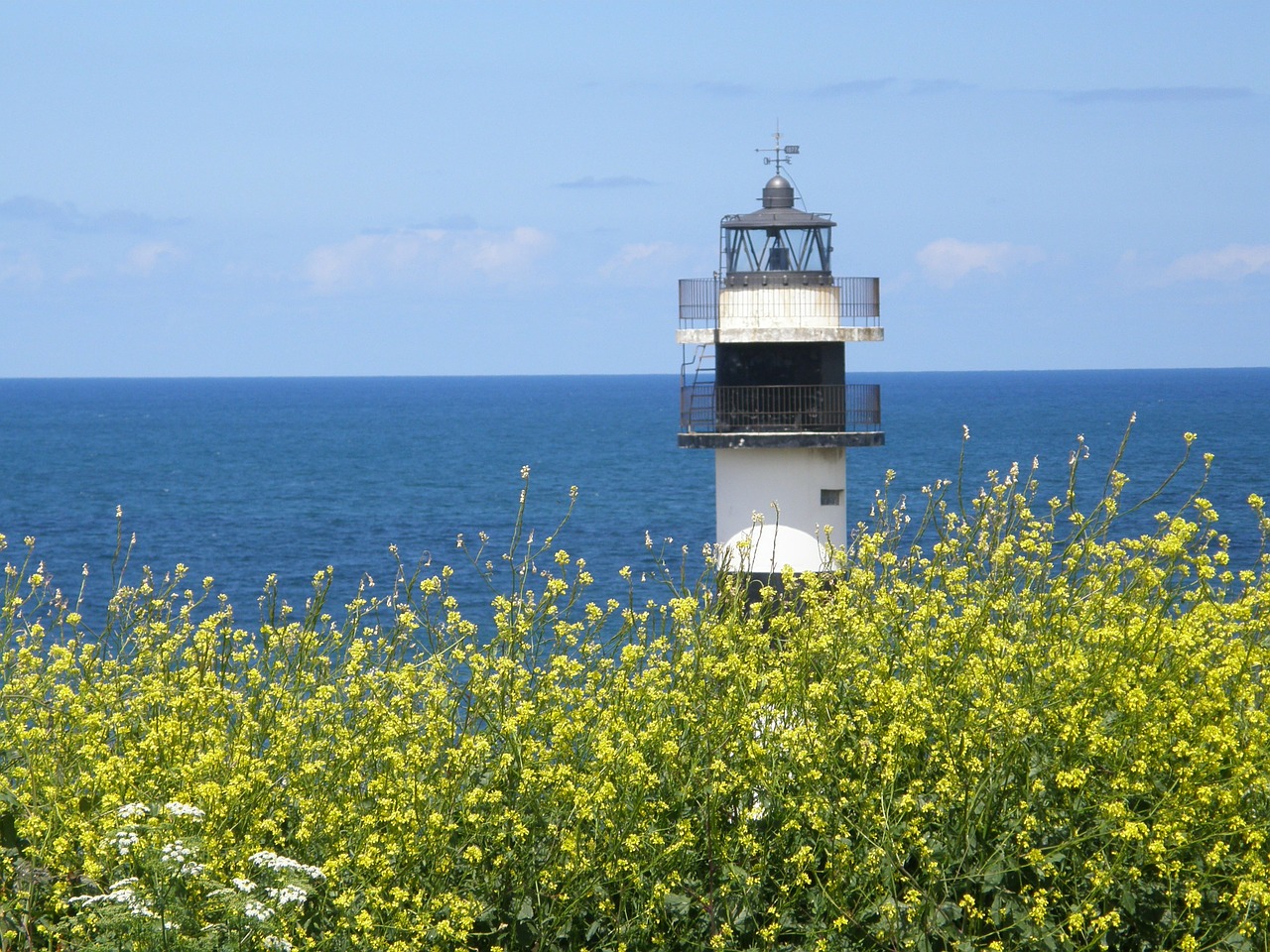 lighthouse flowers galicia free photo