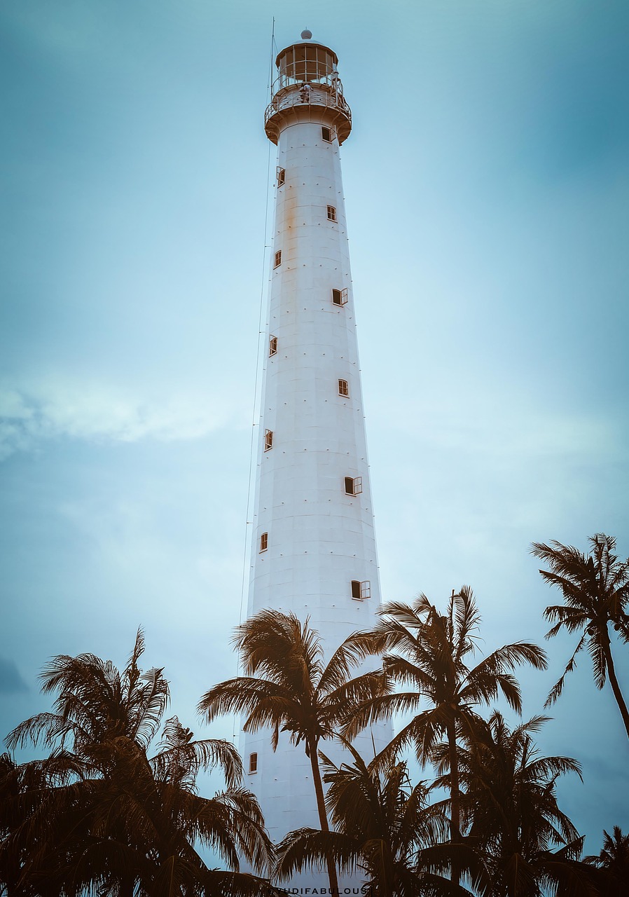 lighthouse tree beach free photo