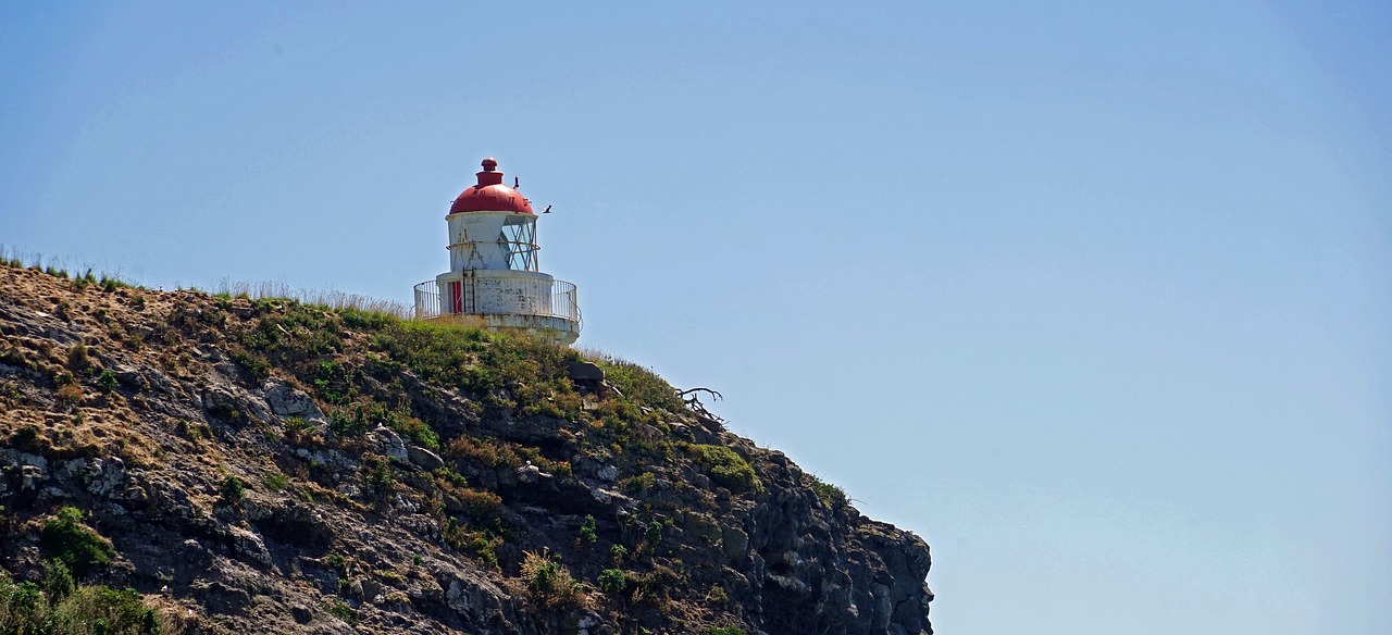 lighthouse otago new zealand free photo